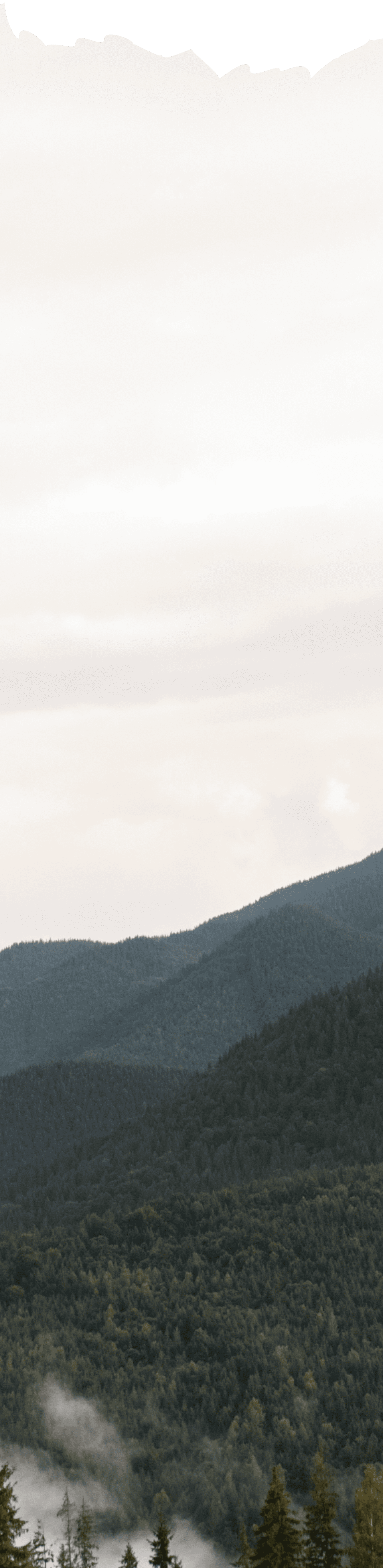 Footer background