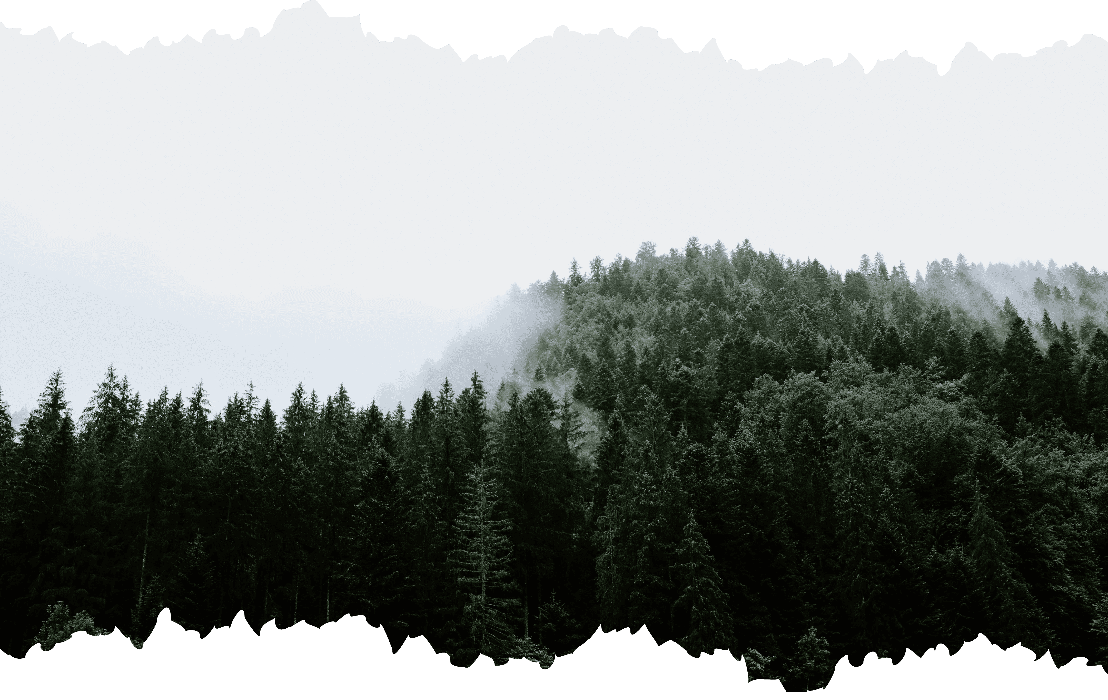 Section background